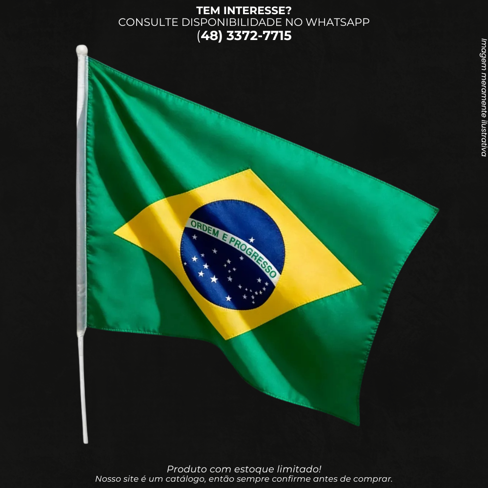 BANDEIRA BRASIL GRANDE COM HASTE