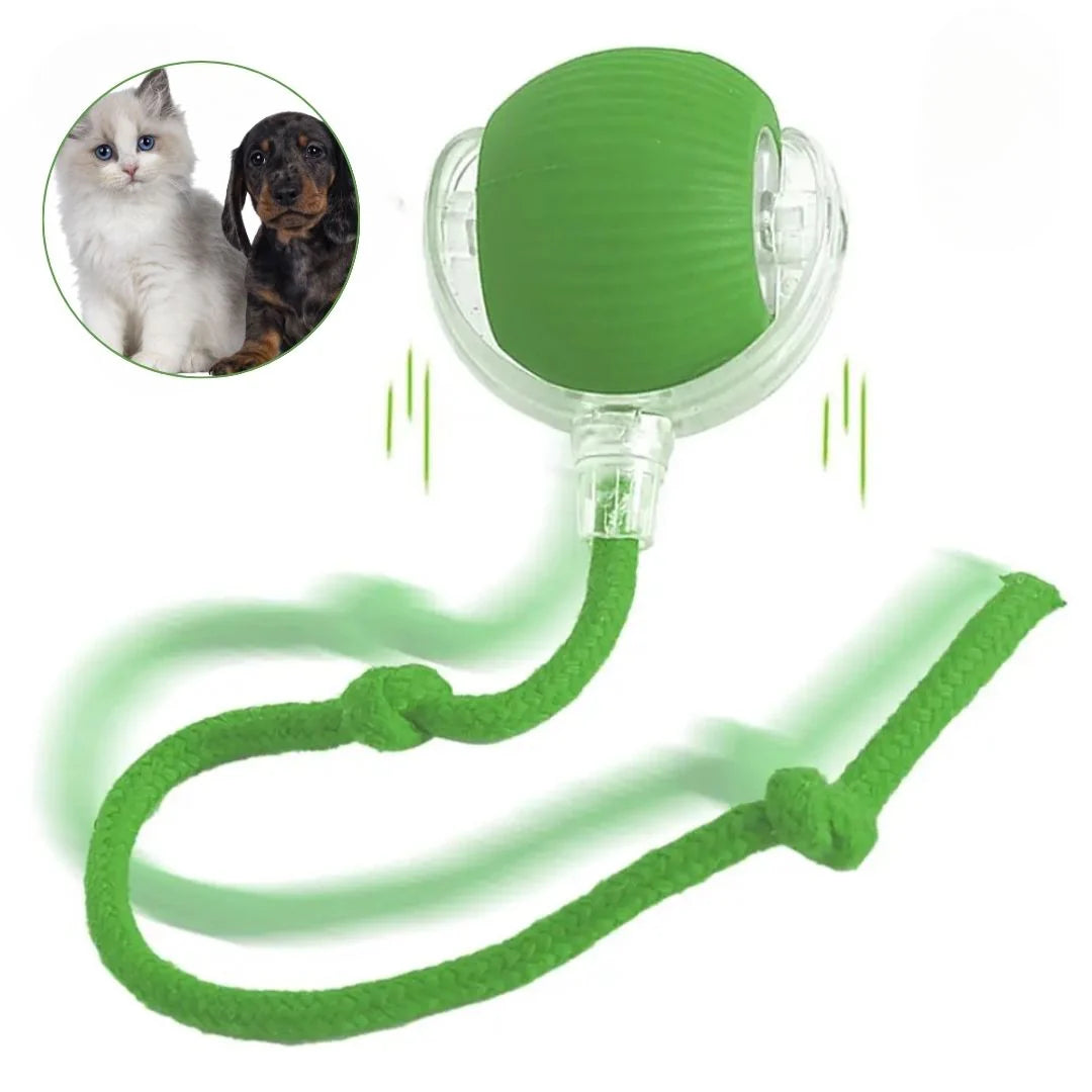 Bola Interativa Pet P02 com Luz LED