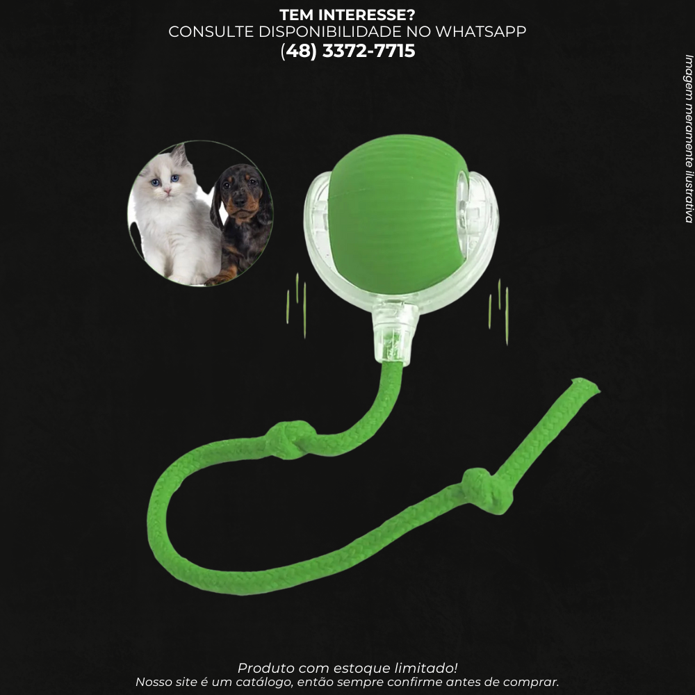 Bola Interativa Pet P02 com Luz LED